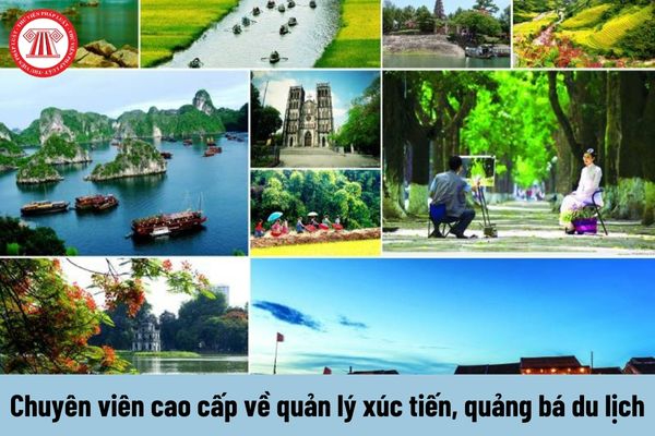 Hotspot Matrix – Kết thúc hành trình 3 ngày rực rỡ tại SECC 2025_Ma trận điểm truy cập nền tảng