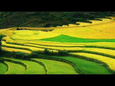 Hotspot Matrix và Concert quốc gia - khi người trẻ yêu nước theo “tần số” của mình_Tăng tốc độ xem video ngắn