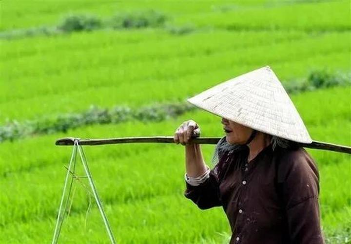 Hotspot Matrix: Đòn bẩy thành công cho Freelancer trong lĩnh vực Video Ngắn